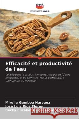 Efficacit? et productivit? de l'eau Mirella Gambo Jos? Luis R?o Becky Elizabeth R?o 9786207675364 Editions Notre Savoir