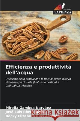 Efficienza e produttivit? dell'acqua Mirella Gambo Jos? Luis R?o Becky Elizabeth R?o 9786207675388 Edizioni Sapienza