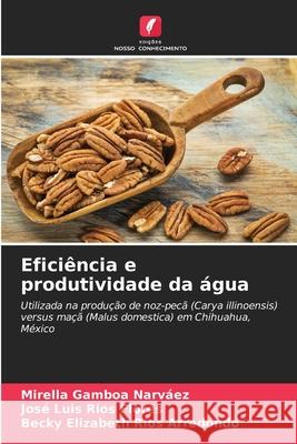 Efici?ncia e produtividade da ?gua Mirella Gambo Jos? Luis R?o Becky Elizabeth R?o 9786207675449 Edicoes Nosso Conhecimento