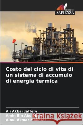 Costo del ciclo di vita di un sistema di accumulo di energia termica Ali Akbar Jaffery Amin Bin Abd Majid Ainul Akmar Mokhtar 9786207683185 Edizioni Sapienza