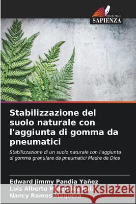 Stabilizzazione del suolo naturale con l'aggiunta di gomma da pneumatici Edward Jimmy Pandi Luis Alberto Melende Nancy Ramos Maquera 9786207697281 Edizioni Sapienza