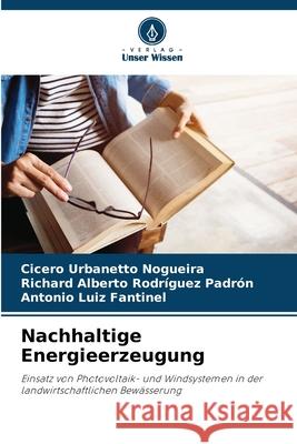 Nachhaltige Energieerzeugung Cicero Urbanett Richard Alberto Rodr?gue Antonio Luiz Fantinel 9786207734801