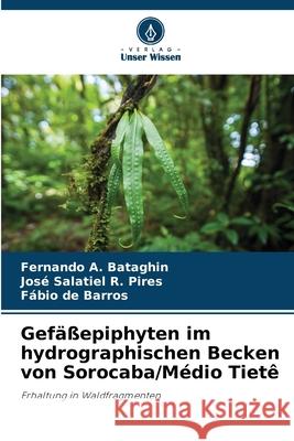 Gefäßepiphyten im hydrographischen Becken von Sorocaba/Médio Tietê Bataghin, Fernando A., Pires, José Salatiel R., Barros, Fábio de 9786207749263
