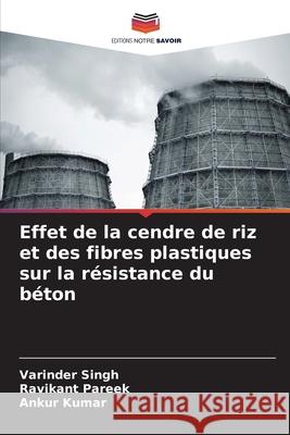 Effet de la cendre de riz et des fibres plastiques sur la r?sistance du b?ton Varinder Singh Ravikant Pareek Ankur Kumar 9786207790982