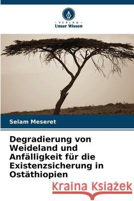 Degradierung von Weideland und Anfälligkeit für die Existenzsicherung in Ostäthiopien Meseret, Selam 9786207828975