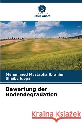 Bewertung der Bodendegradation Ibrahim, Muhammed Mustapha, Idoga, Shaibu 9786207832842