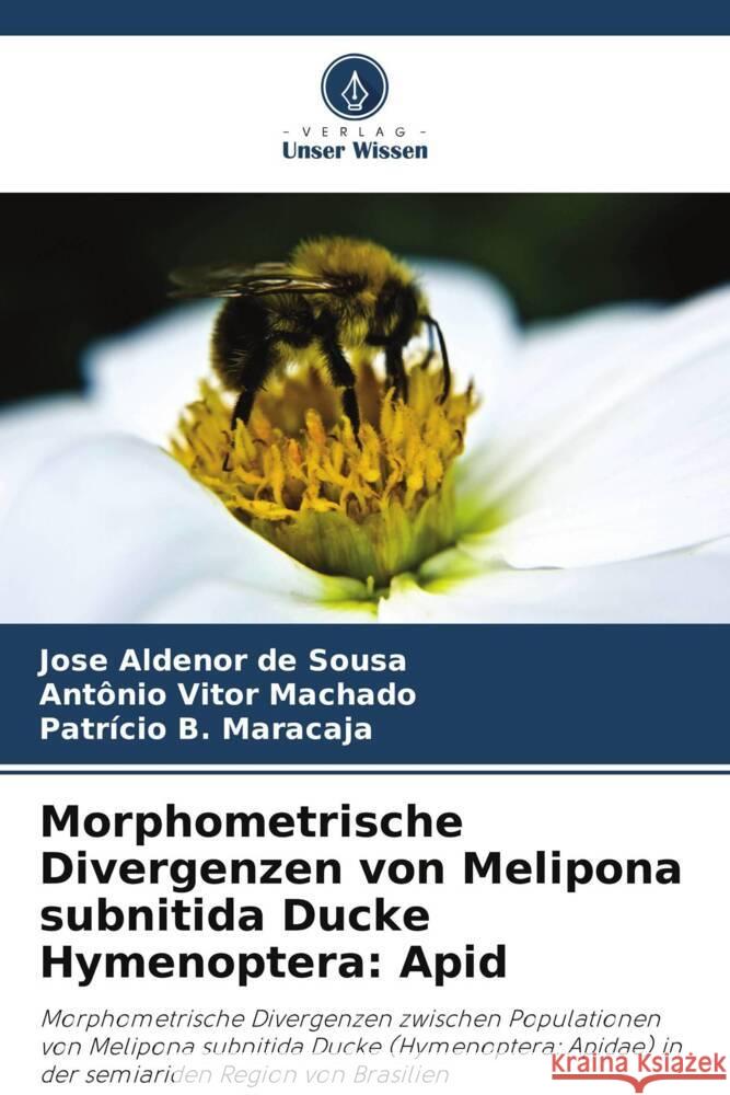 Morphometrische Divergenzen von Melipona subnitida Ducke Hymenoptera: Apid Sousa, Jose Aldenor de, Machado, Antônio Vitor, Maracaja, Patrício B. 9786207840564