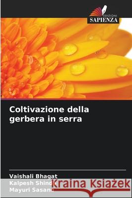 Coltivazione della gerbera in serra Vaishali Bhagat Kalpesh Shinde Mayuri Sasane 9786207925131 Edizioni Sapienza