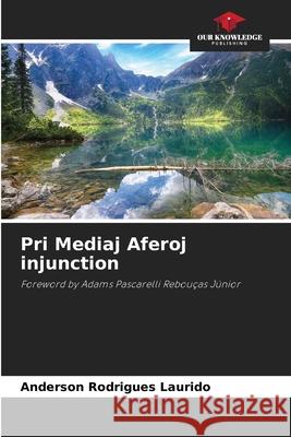 Pri Mediaj Aferoj injunction Laurido, Anderson Rodrigues 9786207950591