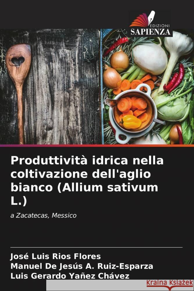 Produttivit? idrica nella coltivazione dell'aglio bianco (Allium sativum L.) Jos? Luis R?o Manuel de Jes?s A Luis Gerardo Ya?e 9786207983292 Edizioni Sapienza