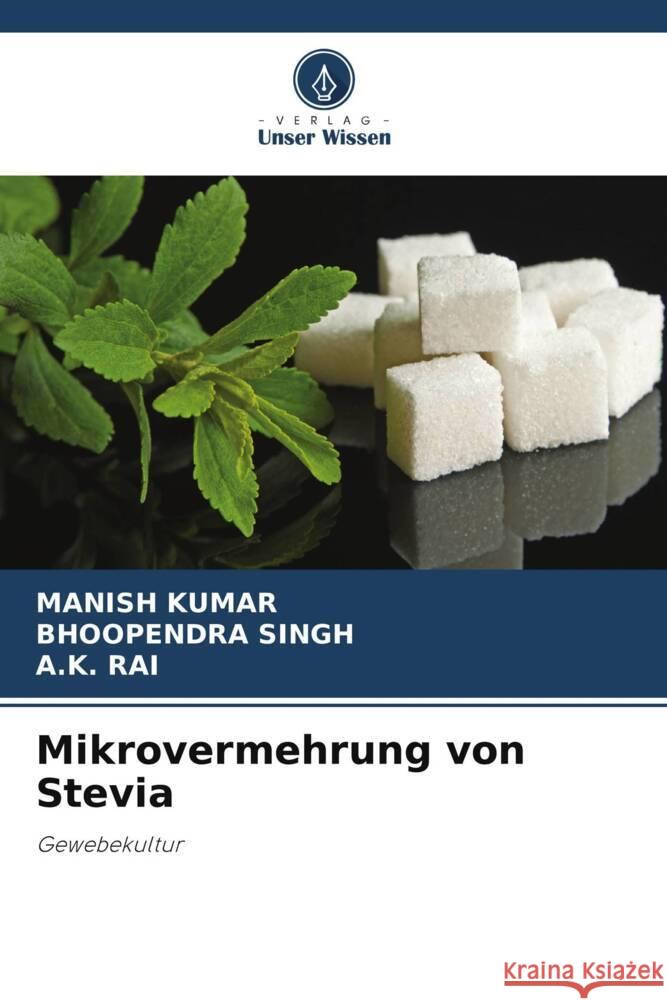 Mikrovermehrung von Stevia Manish Kumar Bhoopendra Singh A. K. Rai 9786207989218 Verlag Unser Wissen