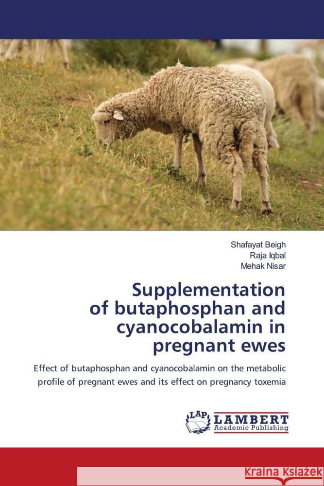 Supplementation of butaphosphan and cyanocobalamin in pregnant ewes Shafayat Beigh Raja Iqbal Mehak Nisar 9786207999248