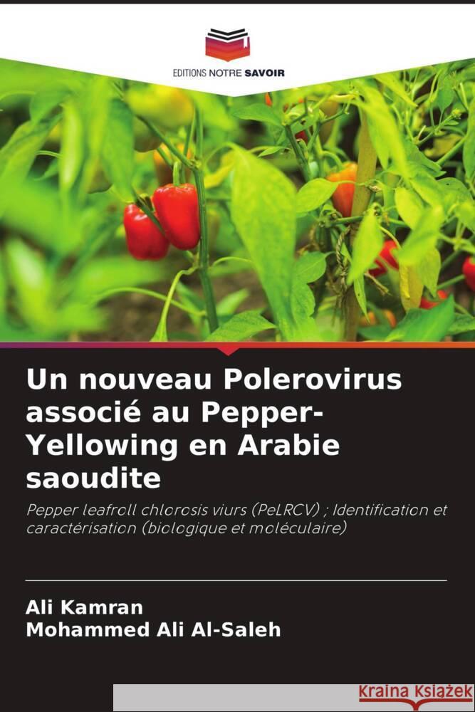 Un nouveau Polerovirus associ? au Pepper-Yellowing en Arabie saoudite Ali Kamran Mohammed Ali Al-Saleh 9786208028329