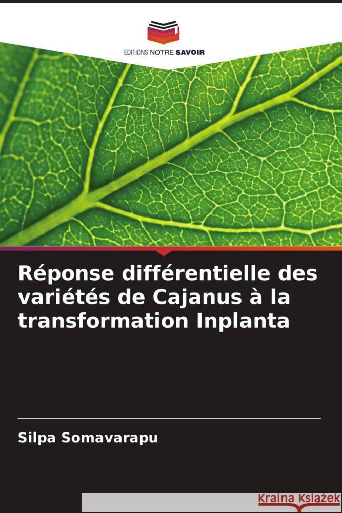 R?ponse diff?rentielle des vari?t?s de Cajanus ? la transformation Inplanta Silpa Somavarapu 9786208035556
