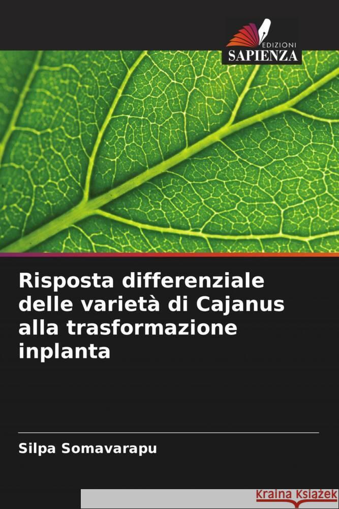 Risposta differenziale delle variet? di Cajanus alla trasformazione inplanta Silpa Somavarapu 9786208035563