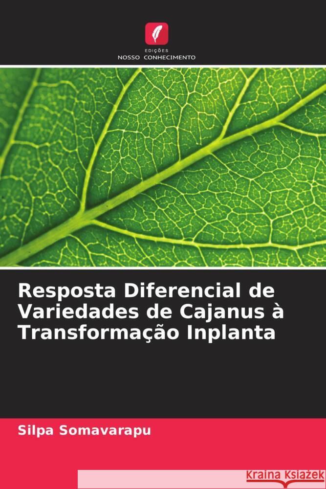 Resposta Diferencial de Variedades de Cajanus ? Transforma??o Inplanta Silpa Somavarapu 9786208035570