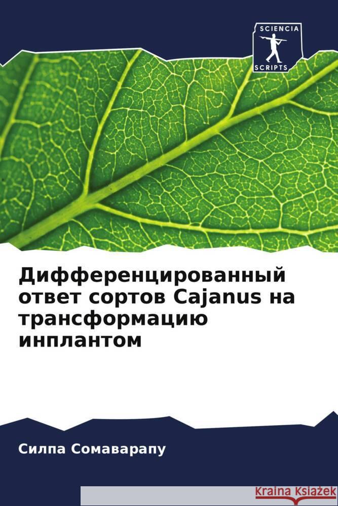 Differencirowannyj otwet sortow Cajanus na transformaciü inplantom Somawarapu, Silpa 9786208035587