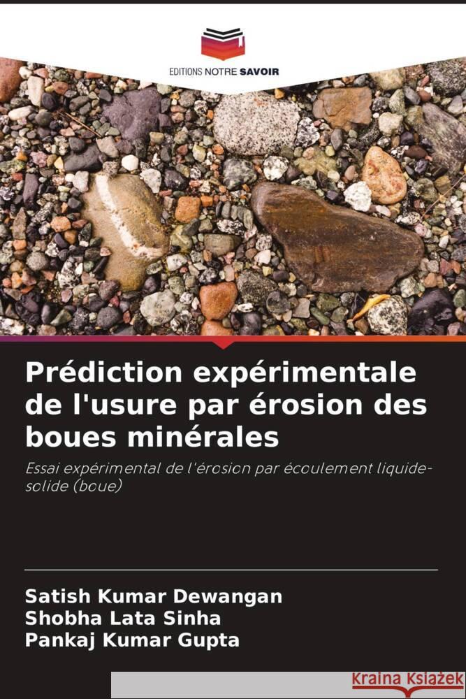 Pr?diction exp?rimentale de l'usure par ?rosion des boues min?rales Satish Kumar Dewangan Shobha Lata Sinha Pankaj Kumar Gupta 9786208052881 Editions Notre Savoir