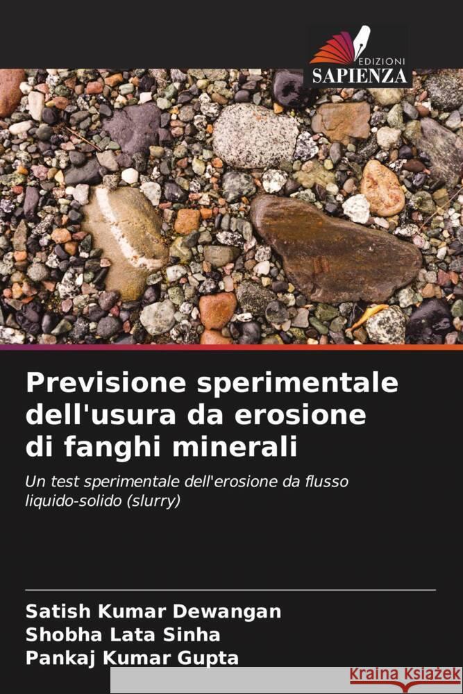 Previsione sperimentale dell'usura da erosione di fanghi minerali Satish Kumar Dewangan Shobha Lata Sinha Pankaj Kumar Gupta 9786208052911 Edizioni Sapienza