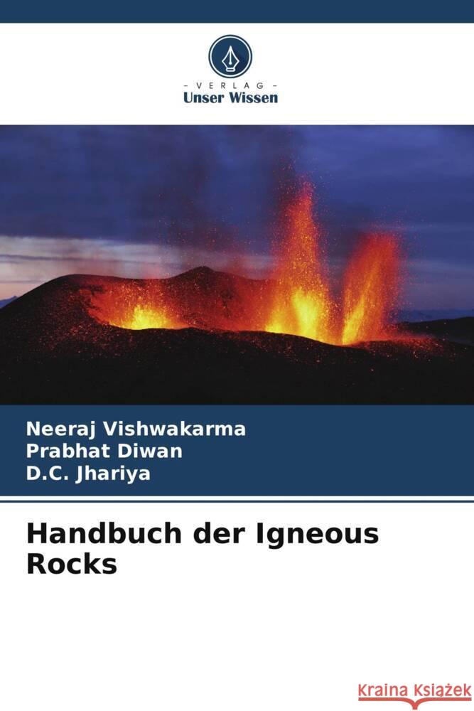 Handbuch der Igneous Rocks Neeraj Vishwakarma Prabhat Diwan D. C. Jhariya 9786208069704