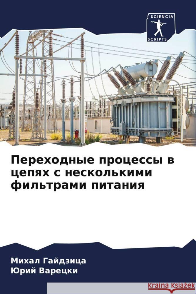 Perehodnye processy w cepqh s neskol'kimi fil'trami pitaniq Gajdzica, Mihal, Varecki, Jurij 9786208072155 Sciencia Scripts