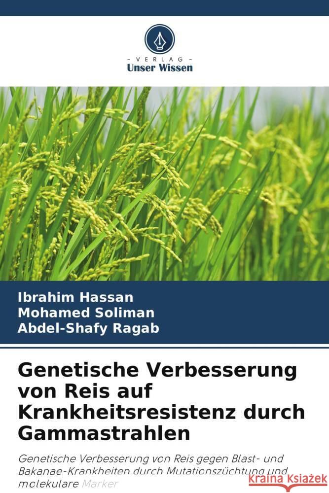 Genetische Verbesserung von Reis auf Krankheitsresistenz durch Gammastrahlen Hassan, Ibrahim, Soliman, Mohamed, Ragab, Abdel-Shafy 9786208081799