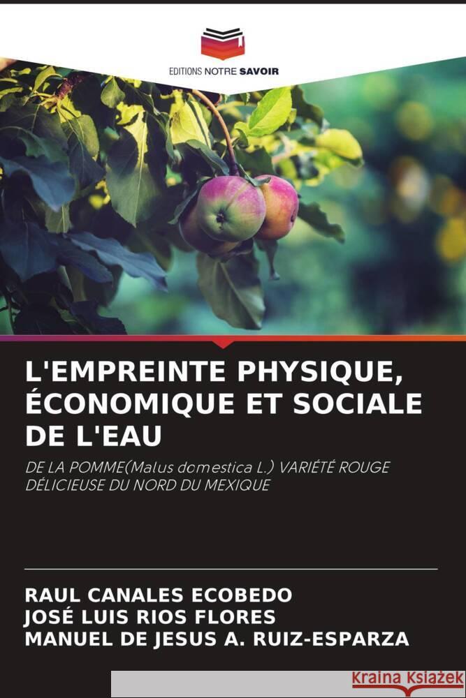 L'EMPREINTE PHYSIQUE, ÉCONOMIQUE ET SOCIALE DE L'EAU CANALES ECOBEDO, RAUL, Ríos Flores, José Luis, A. Ruiz-Esparza, Manuel De Jesús 9786208086008