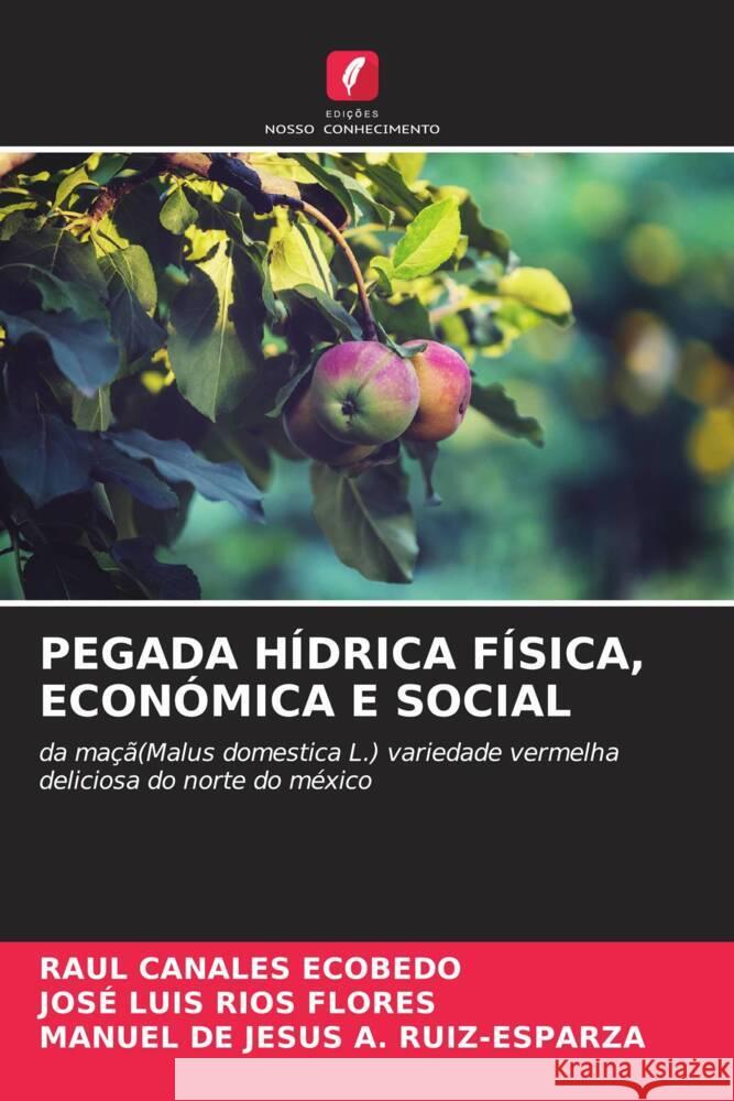 PEGADA HÍDRICA FÍSICA, ECONÓMICA E SOCIAL CANALES ECOBEDO, RAUL, Ríos Flores, José Luis, A. Ruiz-Esparza, Manuel De Jesús 9786208086039