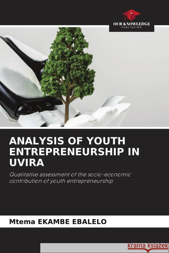 Analysis of Youth Entrepreneurship in Uvira Mtema Ekamb 9786208089238 Our Knowledge Publishing