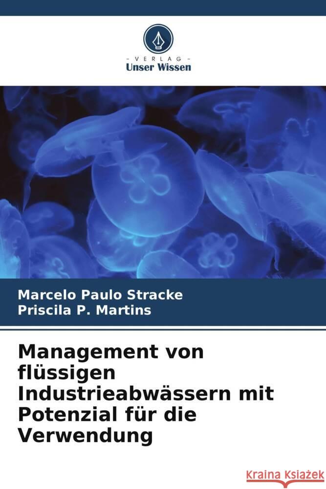 Management von fl?ssigen Industrieabw?ssern mit Potenzial f?r die Verwendung Marcelo Paulo Stracke Priscila P 9786208095154