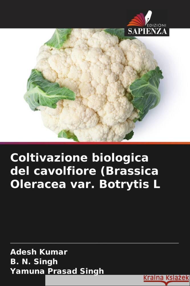 Coltivazione biologica del cavolfiore (Brassica Oleracea var. Botrytis L Kumar, Adesh, Singh, B. N., Singh, Yamuna Prasad 9786208096236