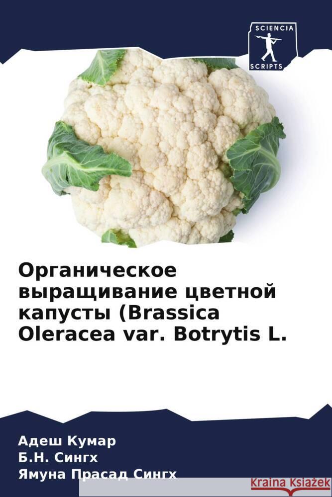 Organicheskoe wyraschiwanie cwetnoj kapusty (Brassica Oleracea var. Botrytis L. Kumar, Adesh, Singh, B.N., Singh, Yamuna Prasad 9786208096243