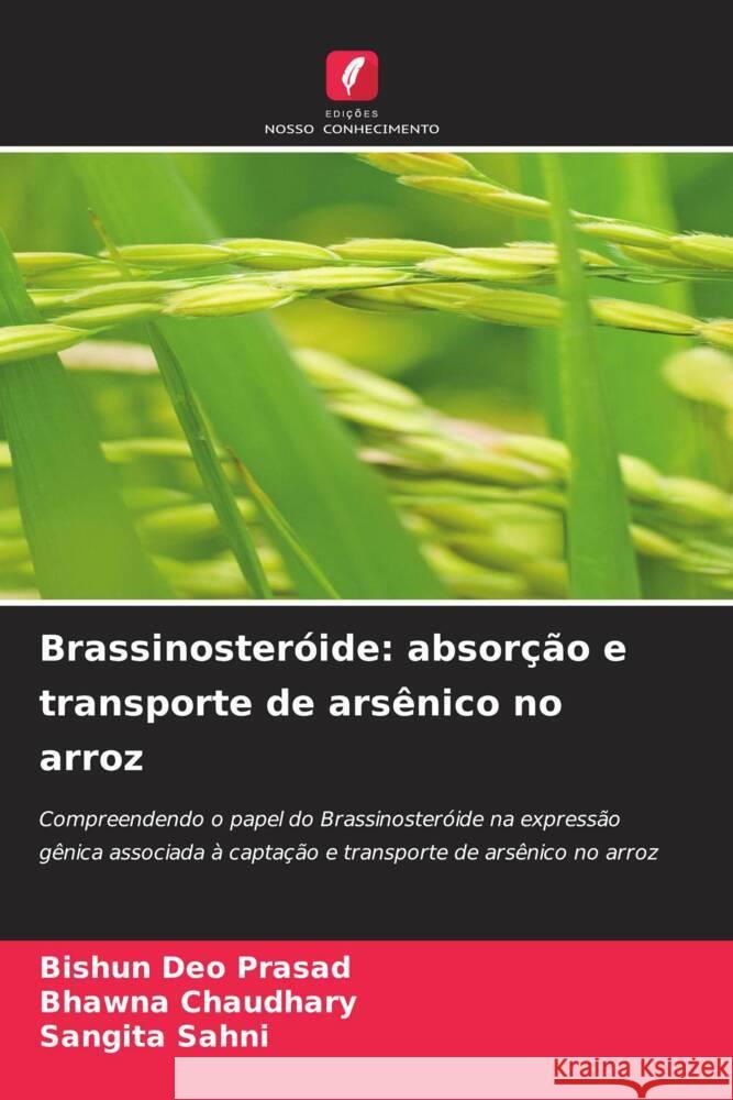 Brassinoster?ide: absor??o e transporte de ars?nico no arroz Bishun De Bhawna Chaudhary Sangita Sahni 9786208125363 Edicoes Nosso Conhecimento