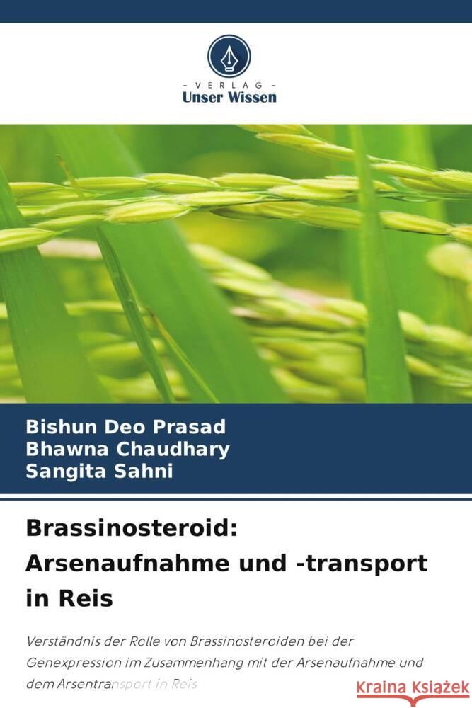 Brassinosteroid: Arsenaufnahme und -transport in Reis Bishun De Bhawna Chaudhary Sangita Sahni 9786208125417 Verlag Unser Wissen