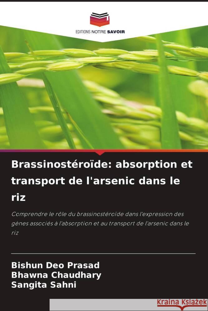 Brassinost?ro?de: absorption et transport de l'arsenic dans le riz Bishun De Bhawna Chaudhary Sangita Sahni 9786208125448 Editions Notre Savoir