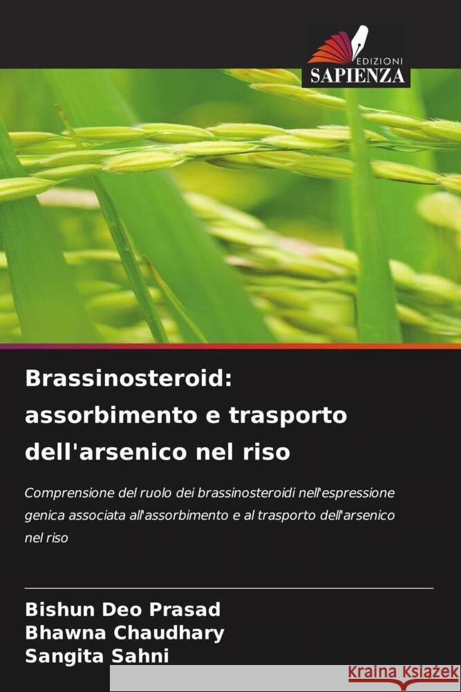 Brassinosteroid: assorbimento e trasporto dell'arsenico nel riso Bishun De Bhawna Chaudhary Sangita Sahni 9786208125455