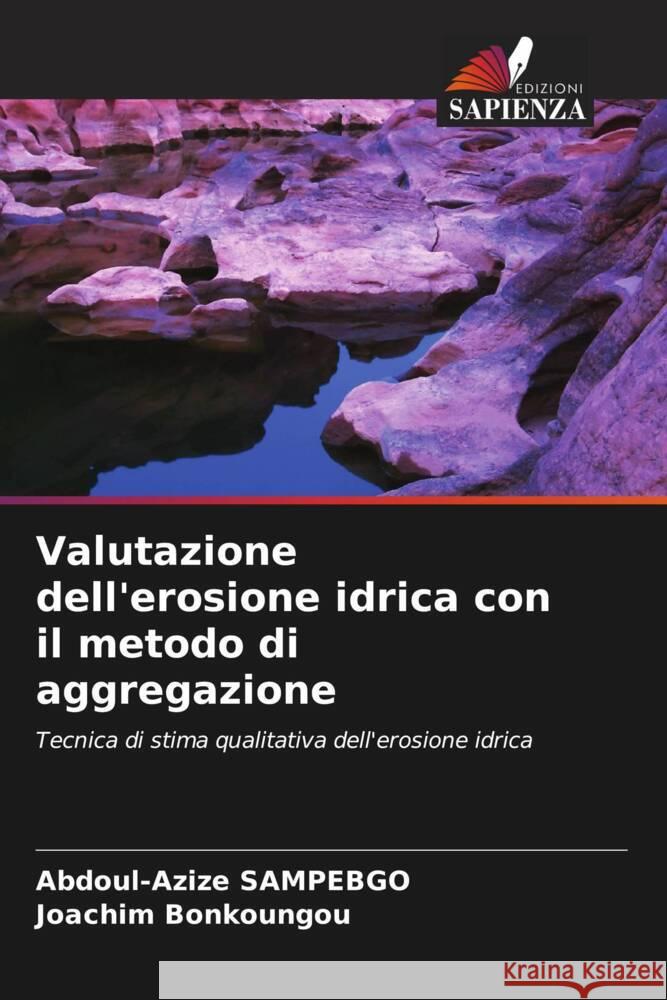 Valutazione dell'erosione idrica con il metodo di aggregazione SAMPEBGO, Abdoul-Azize, Bonkoungou, Joachim 9786208155247 Edizioni Sapienza