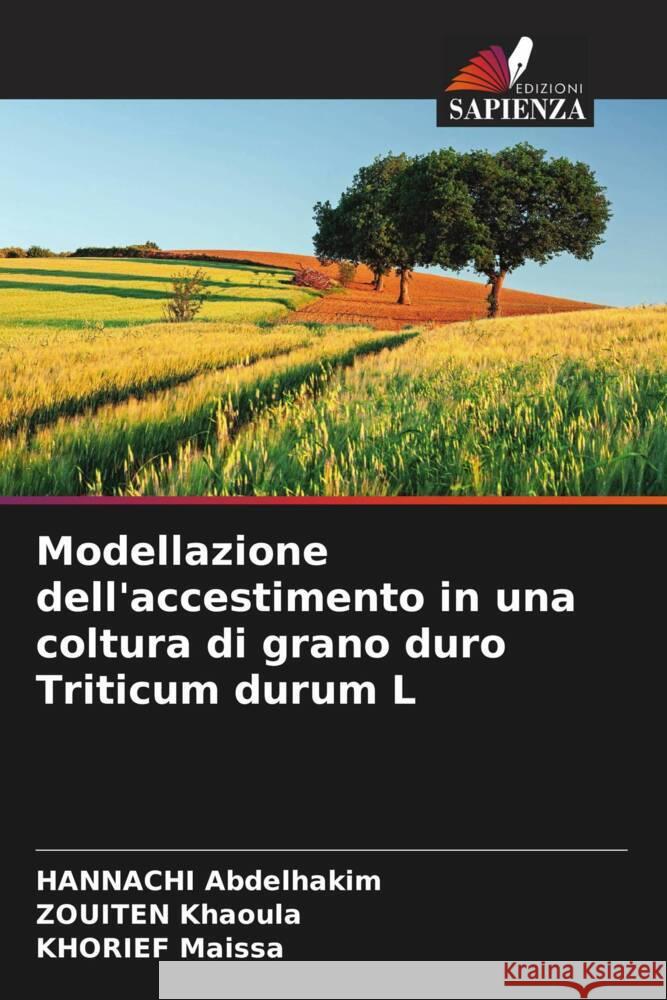 Modellazione dell'accestimento in una coltura di grano duro Triticum durum L Hannachi Abdelhakim Zouiten Khaoula Khorief Maissa 9786208162702