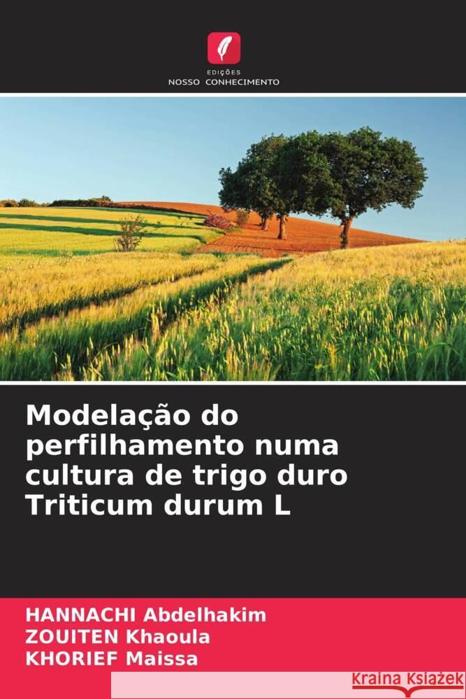 Modela??o do perfilhamento numa cultura de trigo duro Triticum durum L Hannachi Abdelhakim Zouiten Khaoula Khorief Maissa 9786208162719