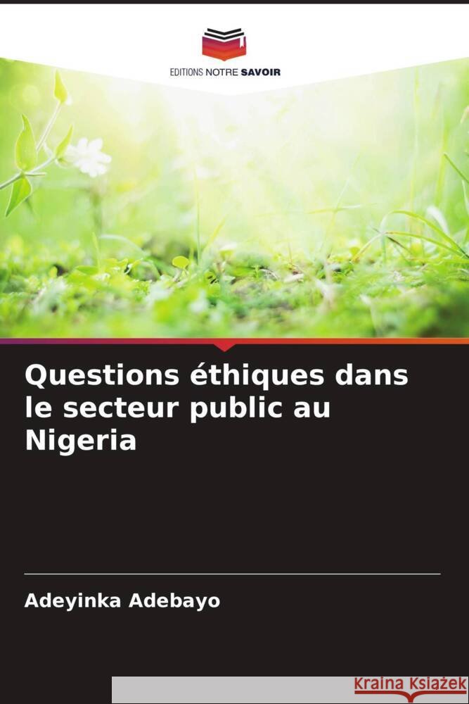 Questions éthiques dans le secteur public au Nigeria Adebayo, Adeyinka 9786208180478 Editions Notre Savoir