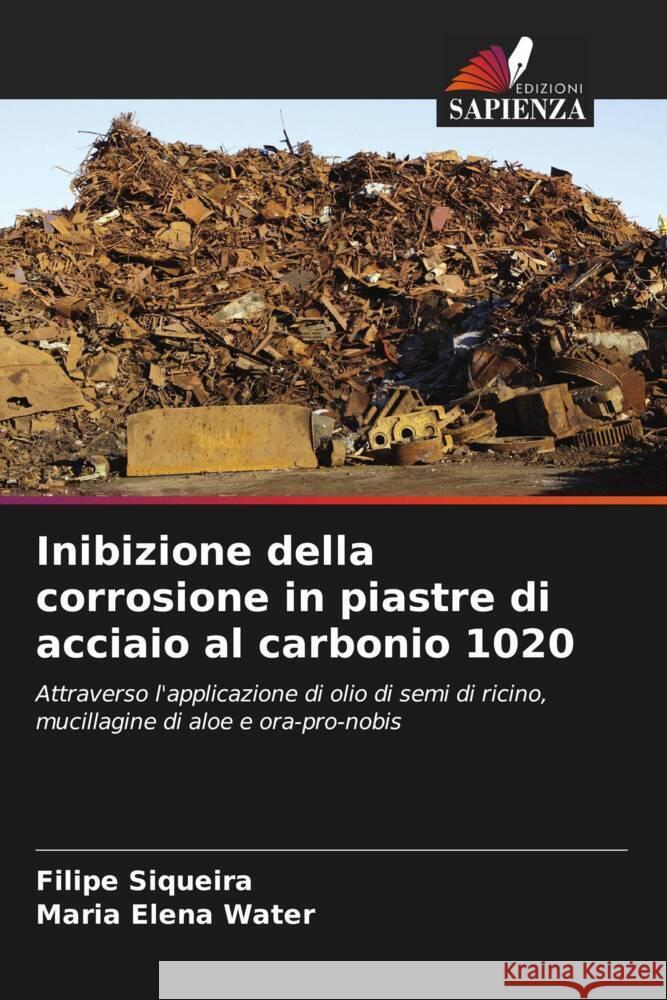 Inibizione della corrosione in piastre di acciaio al carbonio 1020 Siqueira, Filipe, Water, Maria Elena 9786208181567 Edizioni Sapienza