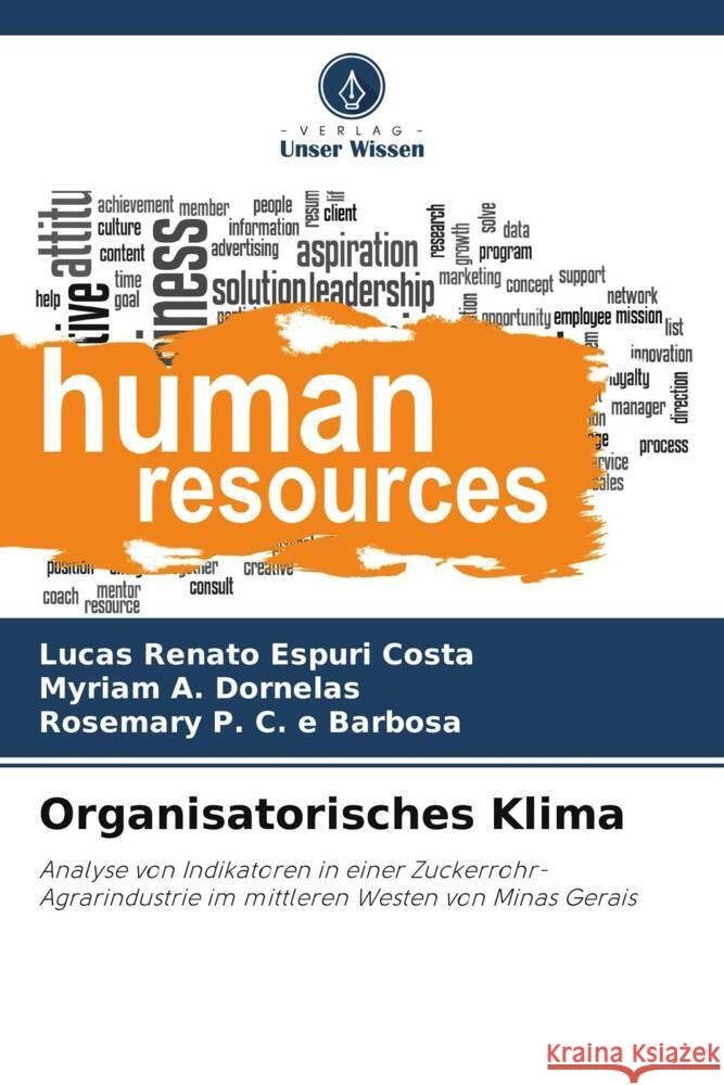 Organisatorisches Klima Renato Espuri Costa, Lucas, A. Dornelas, Myriam, P. C. e Barbosa, Rosemary 9786208189792