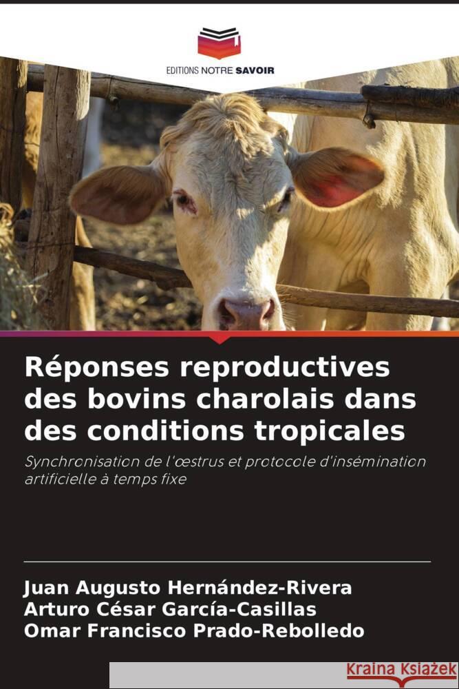 Réponses reproductives des bovins charolais dans des conditions tropicales Hernández-Rivera, Juan Augusto, García-Casillas, Arturo César, Prado-Rebolledo, Omar Francisco 9786208199784