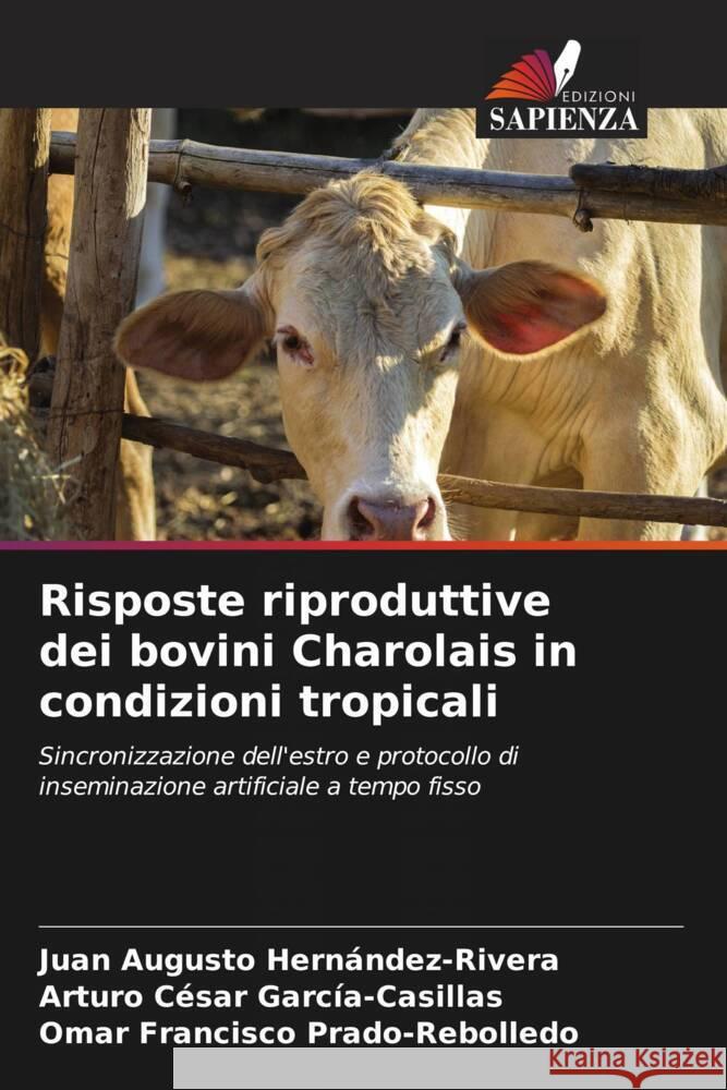 Risposte riproduttive dei bovini Charolais in condizioni tropicali Hernández-Rivera, Juan Augusto, García-Casillas, Arturo César, Prado-Rebolledo, Omar Francisco 9786208199791