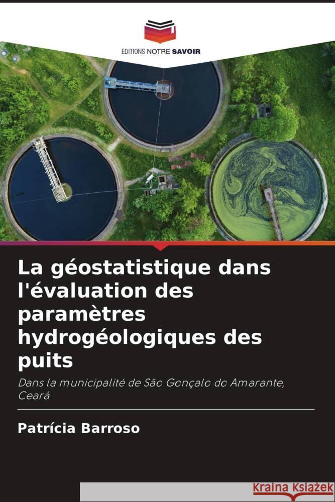 La géostatistique dans l'évaluation des paramètres hydrogéologiques des puits Barroso, Patrícia 9786208212131