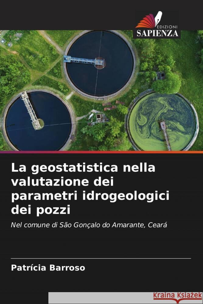 La geostatistica nella valutazione dei parametri idrogeologici dei pozzi Barroso, Patrícia 9786208212155