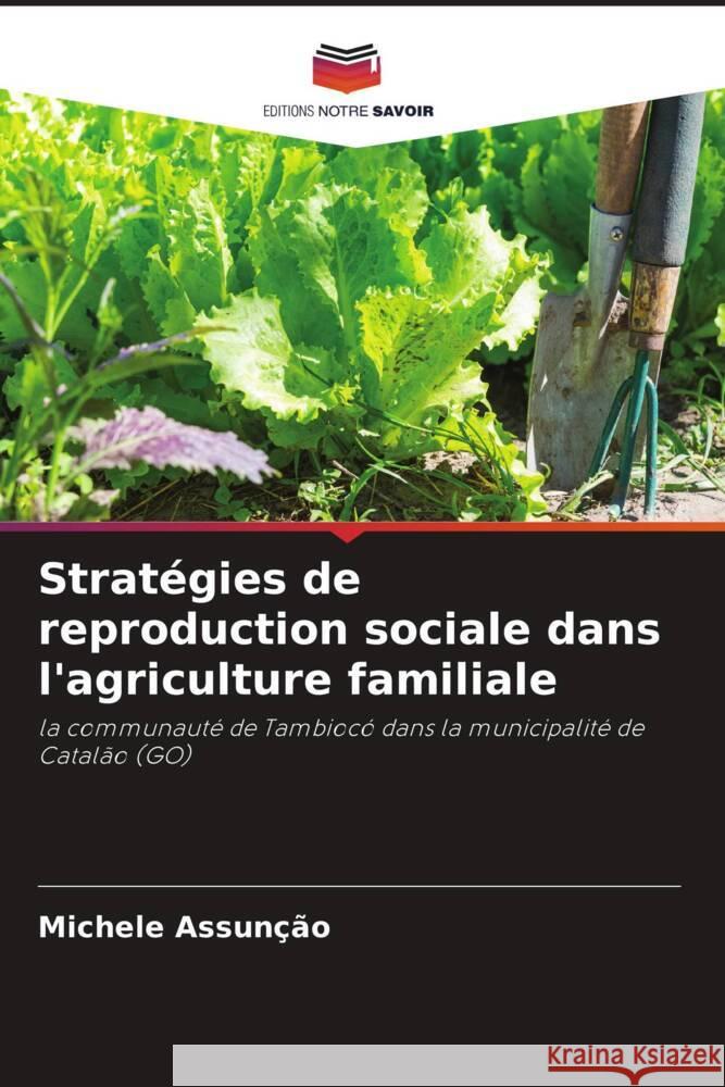 Stratégies de reproduction sociale dans l'agriculture familiale Assunção, Michele 9786208219383