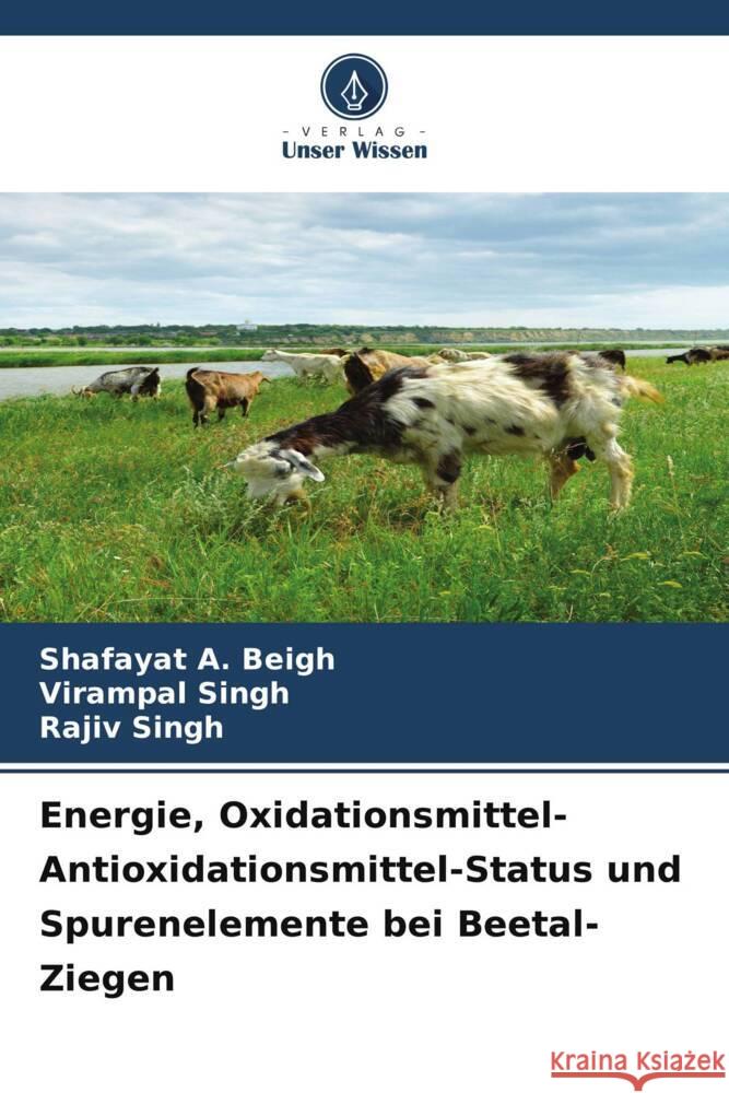 Energie, Oxidationsmittel-Antioxidationsmittel-Status und Spurenelemente bei Beetal-Ziegen A. Beigh, Shafayat, Singh, Virampal, Singh, Rajiv 9786208233211