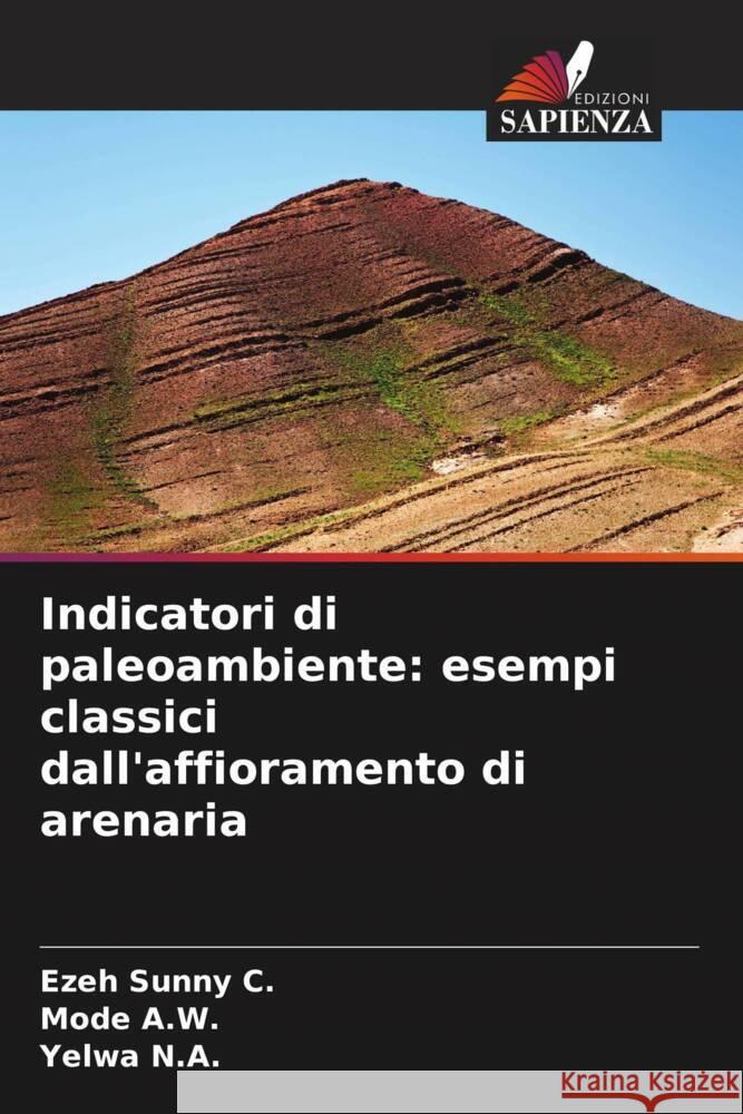 Indicatori di paleoambiente: esempi classici dall'affioramento di arenaria Sunny C., Ezeh, A.W., Mode, N.A., Yelwa 9786208248307 Edizioni Sapienza