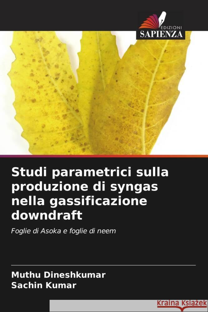 Studi parametrici sulla produzione di syngas nella gassificazione downdraft Dineshkumar, Muthu, Kumar, Sachin 9786208253547 Edizioni Sapienza